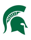 michstate.jpg