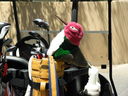 DSCN3114.JPG