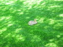 DSCN3134.JPG
