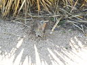 DSCN3173.JPG