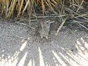 DSCN3175.JPG